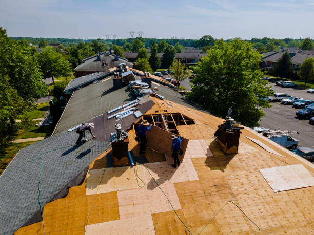 Best Roof Gutter Cleaning  in Como, WI